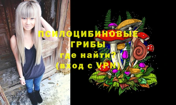 метамфетамин Ельня