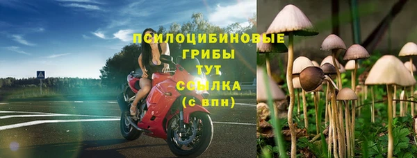 спиды Дмитровск