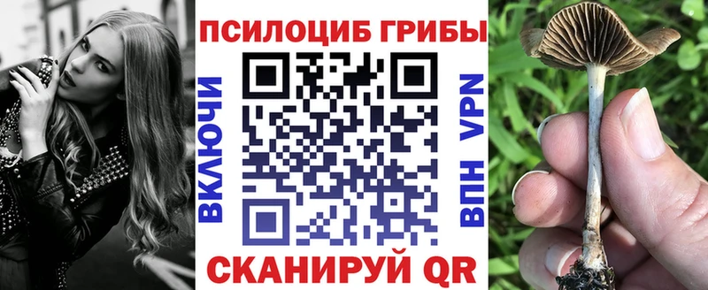 Купить  Кандалакша  Галлюциногенные грибы ЛСД 